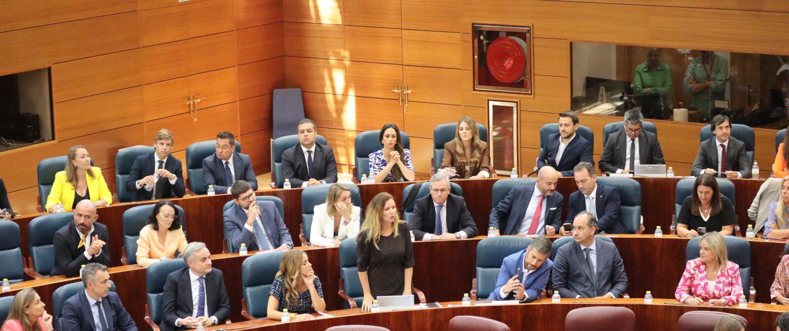 La actual consejera de Asuntos Sociales, Ana Dávila-Ponce de León, durante una intervención en la Asamblea de Madrid mientras era diputada regional