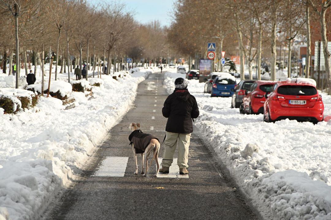 Un hombre pasea a su perro por las calles de Alcalá de Henares, este domingo. 