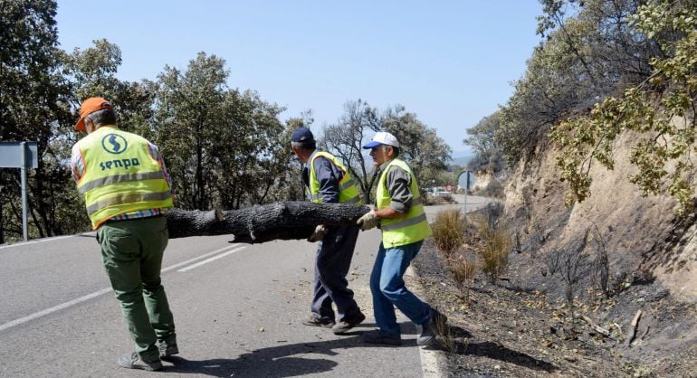 Trabajadores durante las labores de limpieza de las vías de comunicación por carretera de la comarca de Sierra de Gata.