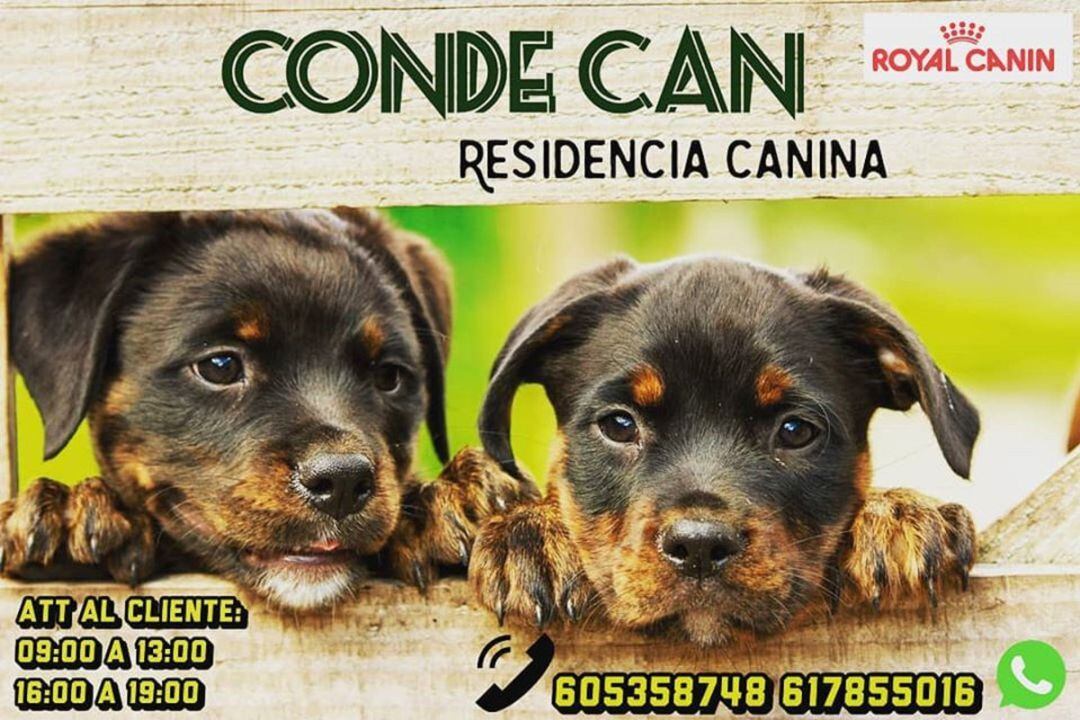 La residencia canina Conde Can de Madridejos que ha puesto a disposición de las personas que trabajan en los hospitales de la zona