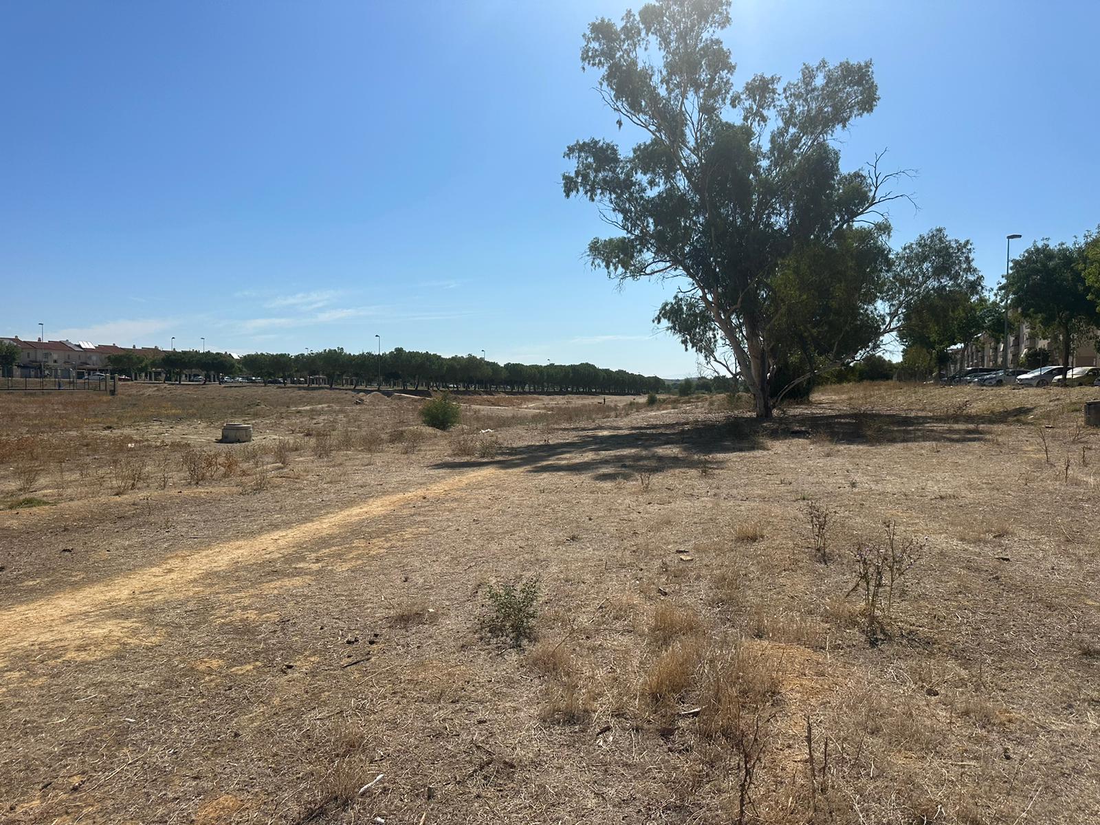 Foto enviada por el Grupo Municipal socialista del Parque de La Canaleja