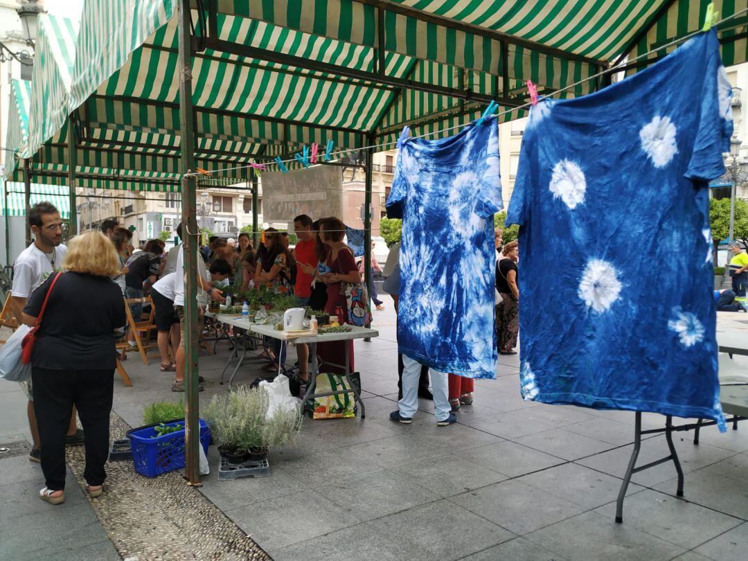 La plaza de Las Tendillas se llena de actividades en el Encuentro de la Sabiduría y el Conocimiento.
