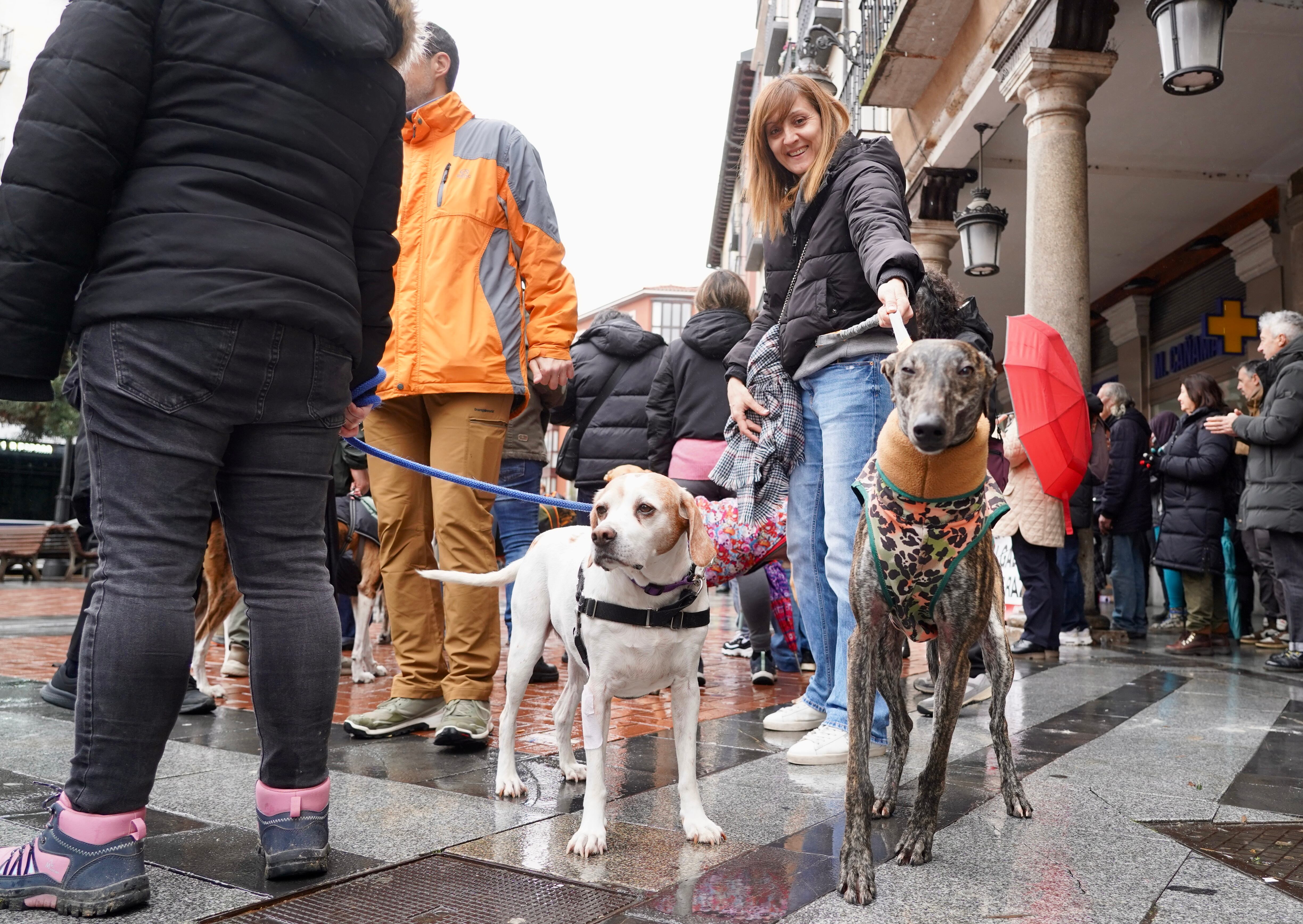 Concentración convocada por la Plataforma NAC (No A la Caza) para reivindicar los derechos de los perros usados en la actividad cinegética, al coincidir con el Día Mundial del Galgo.