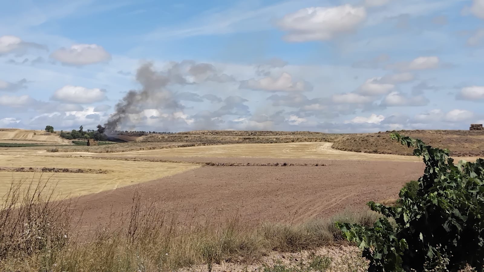Incendio agrícola en Ribafrecha