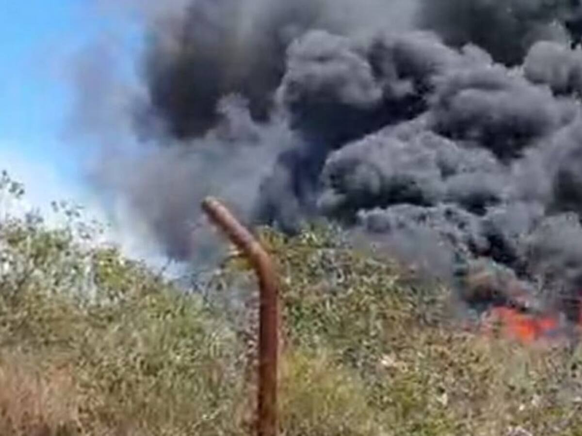 Los bomberos intervienen en un incendio de vegetación en La Línea