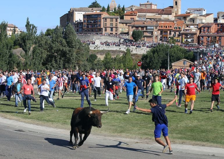 Toro de la Vega en 2017