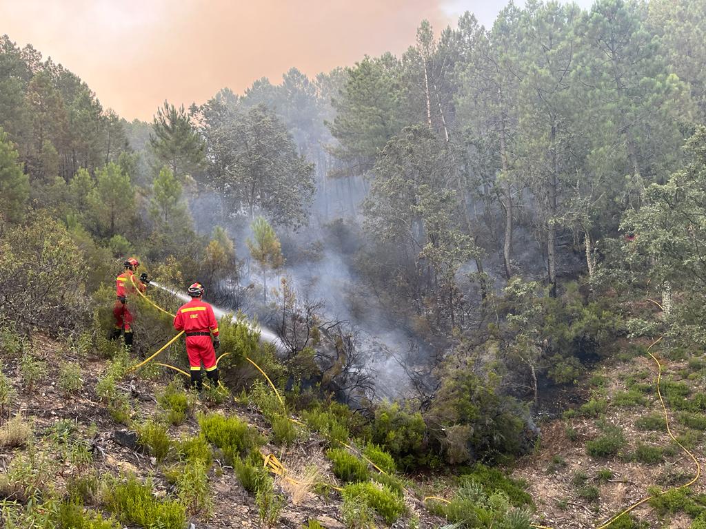 Efectivos de la UME en el incendio de Sevilleja de la Jara