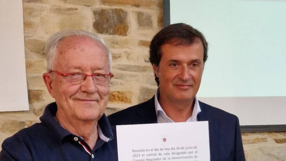 La "frescura y elegancia" de los vinos de la añada del 2022 del Bierzo obtienen la calificación de "Excelente"