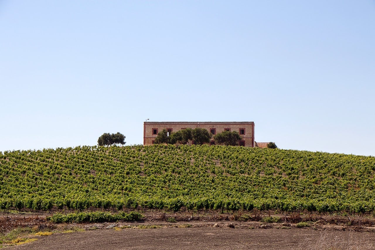 Recorrido por el camino del Rocío jerezano