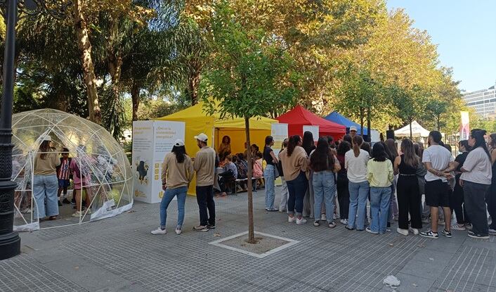 Alguna de las iniciativas previstas en La Línea