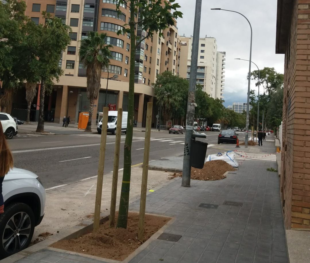 El Ayuntamiento plantará 26 nuevos árboles en la calle Hernández Lázaro del barrio de San Pau, en Campanar