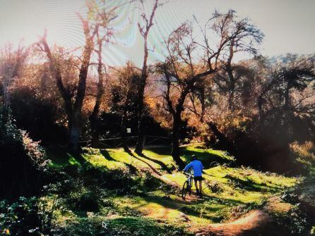 Por la Sierra Norte de Sevilla