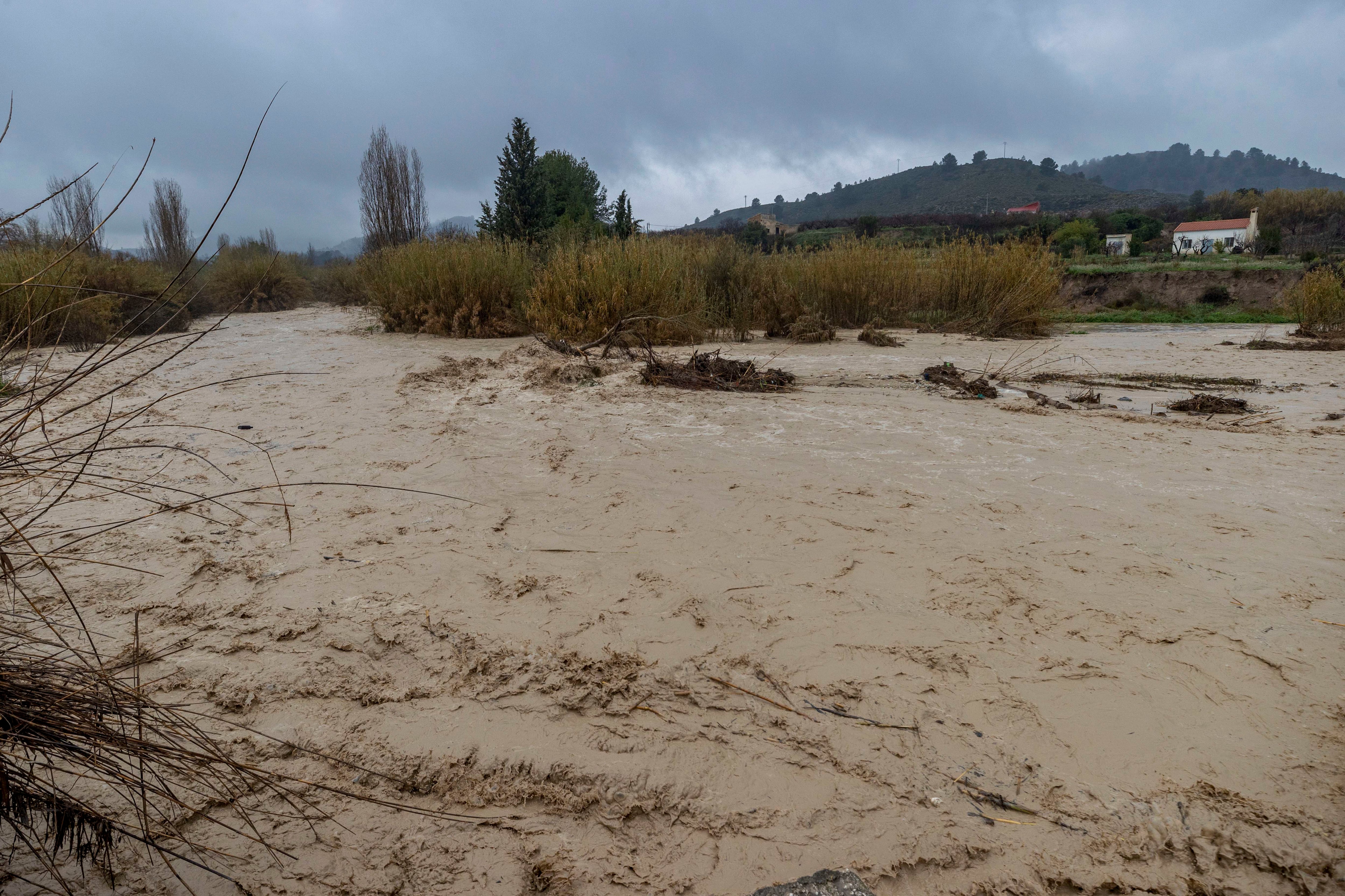 CEHEGÍN, (MURCIA), 06/03/2025.- Cauce del Río Argos a su paso por el municipio de Cehegín, (Murcia), desbordado tras las fuertes lluvias caidas en llas últimas horas en el municipio EFE/Marcial Guillén
