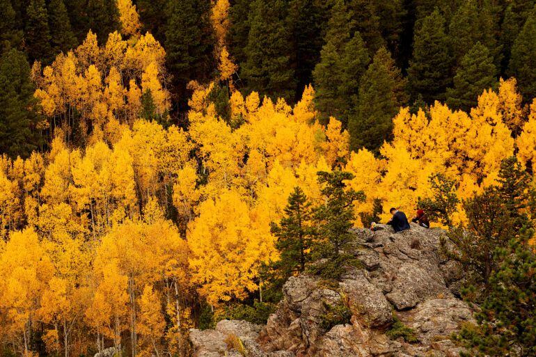 Gente sentada alrededor de árboles con colores otoñales. REUTERS Rick Wilking