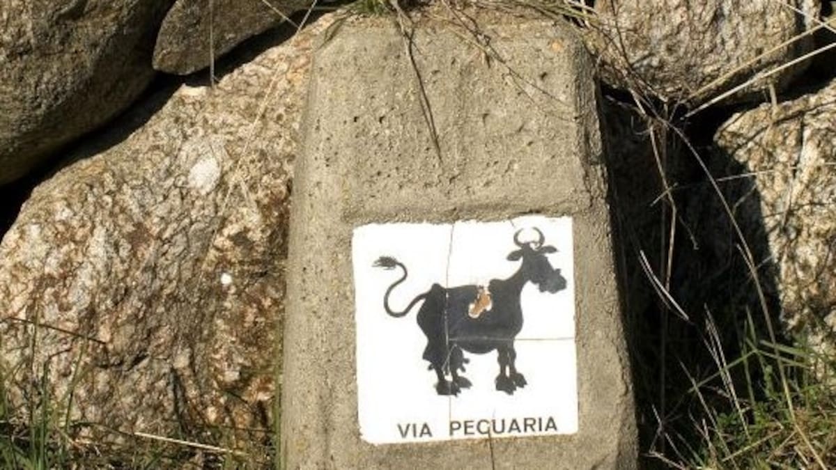 Multa de 15.000 euros a El Escorial por cerrar una vía pecuaria con una puerta