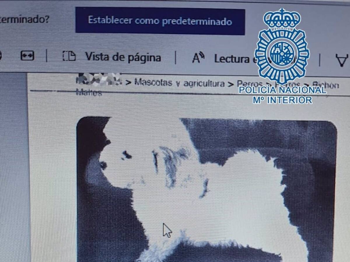 Desarticulada en Jerez una protectora de animales ficticia por estafar con falsas adopciones de perros