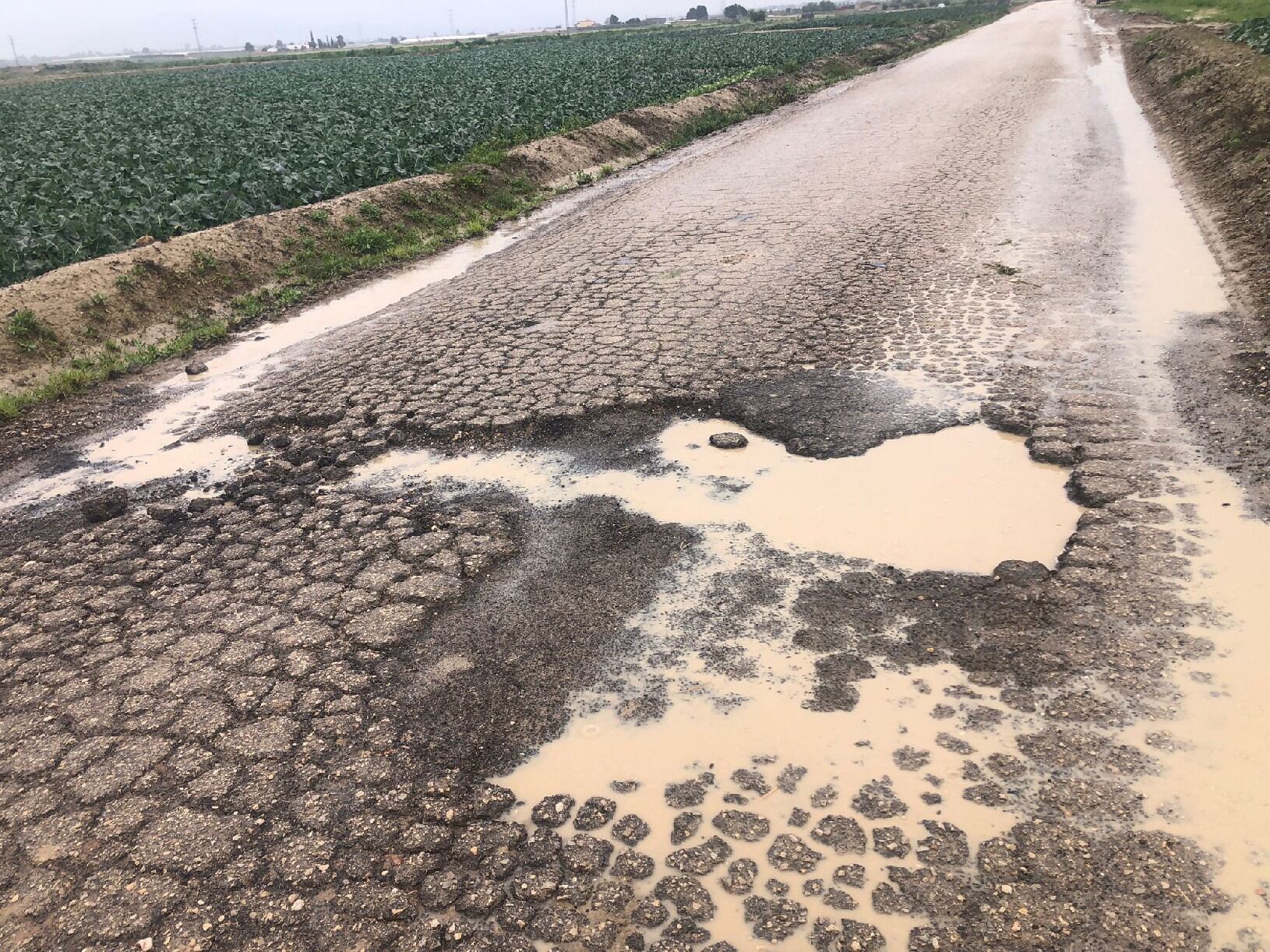 Asfalto de caminos en Lorca.