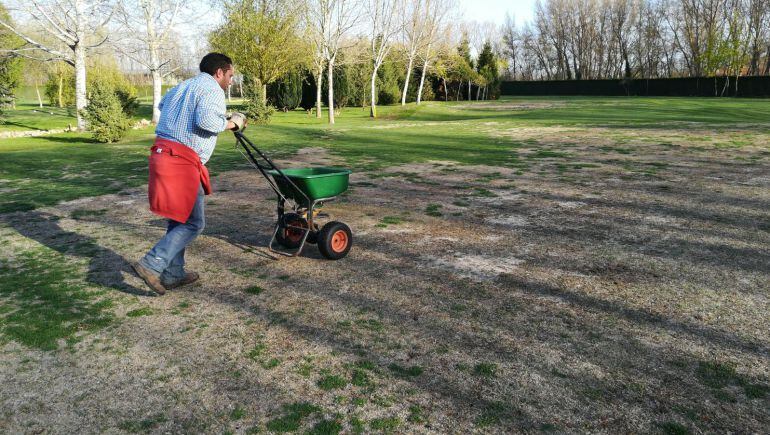 El Ayuntamiento de Palencia difunde fotos para demostrar que la empresa cumple con los trabajos de mantenimiento