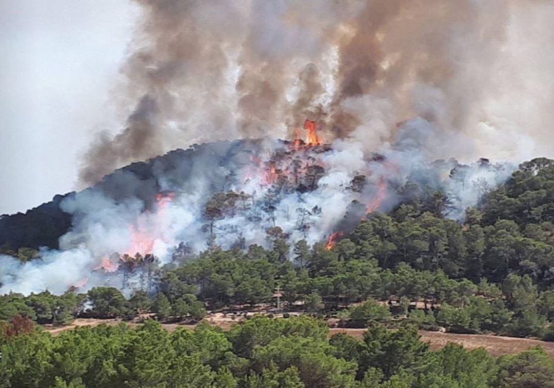 Un incendio forestal en Sant Antoni.