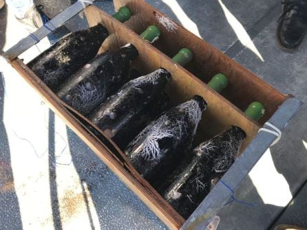 Vinos producidos a 40m de profundidad en una bodega submarina de Calabardina