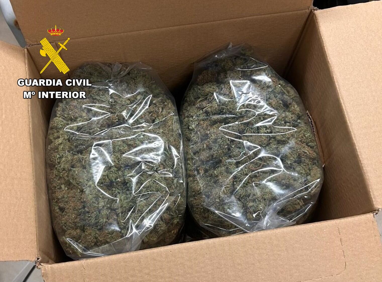 Marihuana encontrada en el interior del camión, que transportaba bolsas de patatas fritas