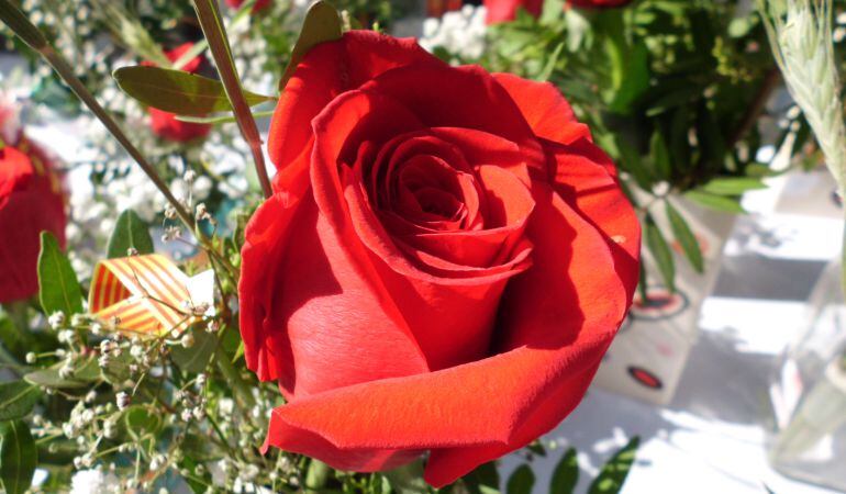 La rosa tradicional ha estat la més venuda.