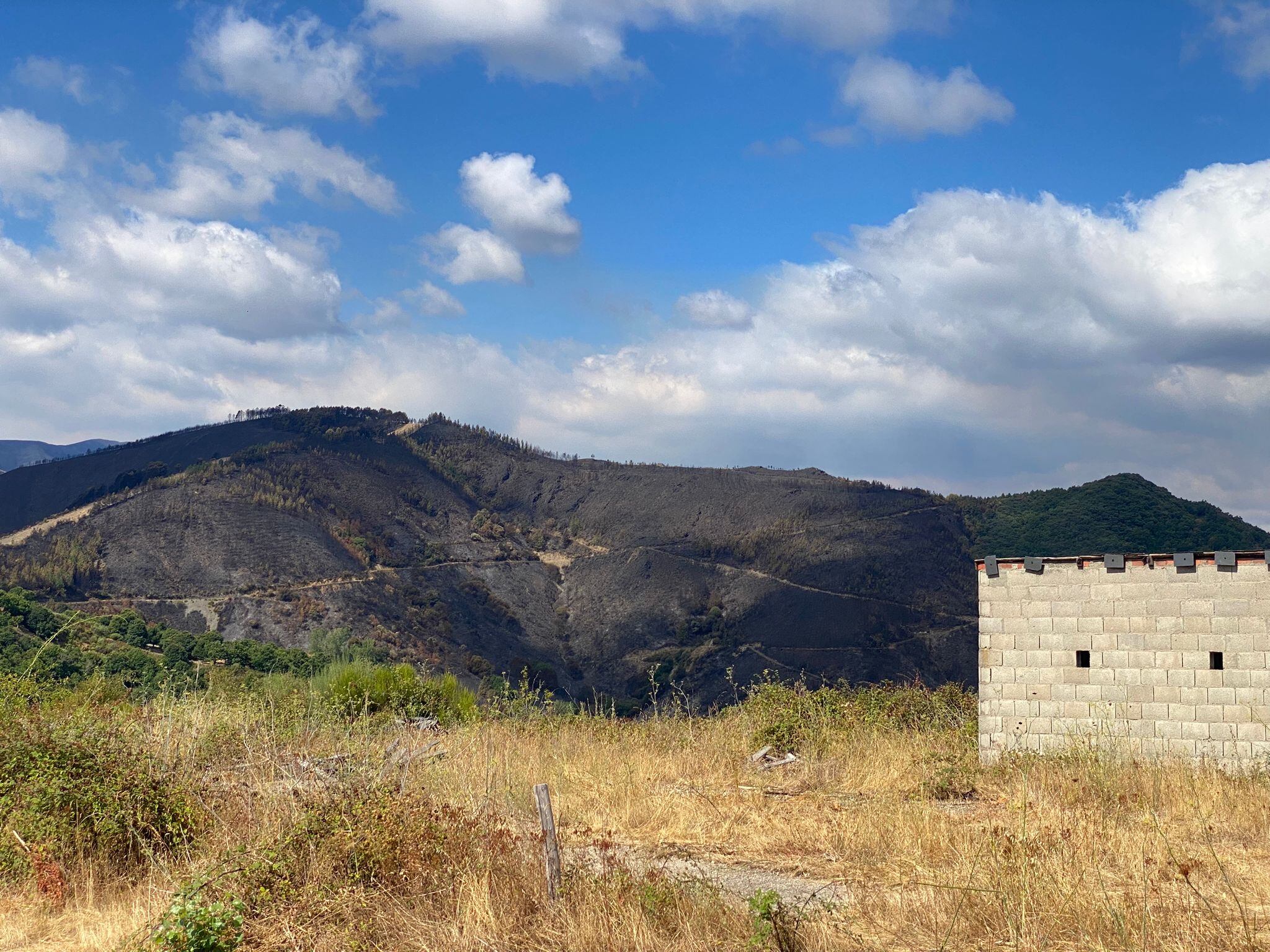 Efectivos baleares incendio León. CAIB 20/08/25