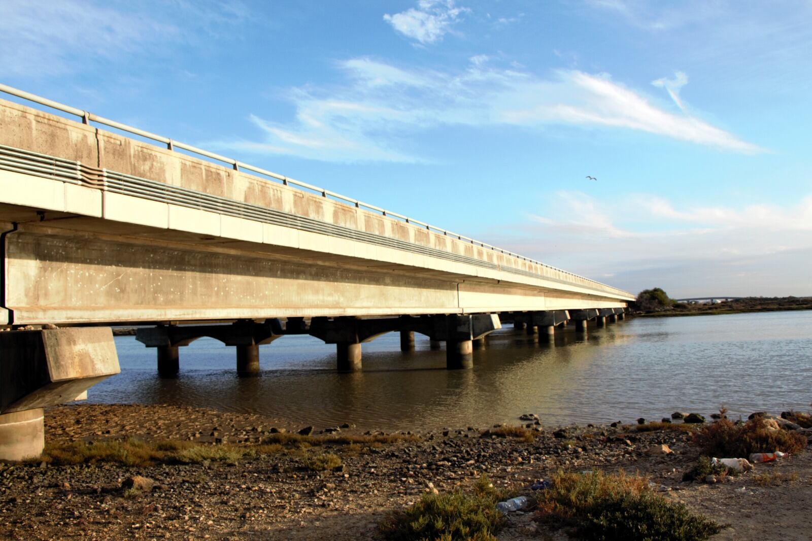 Recorrido del Portal al Puerto por la marisma