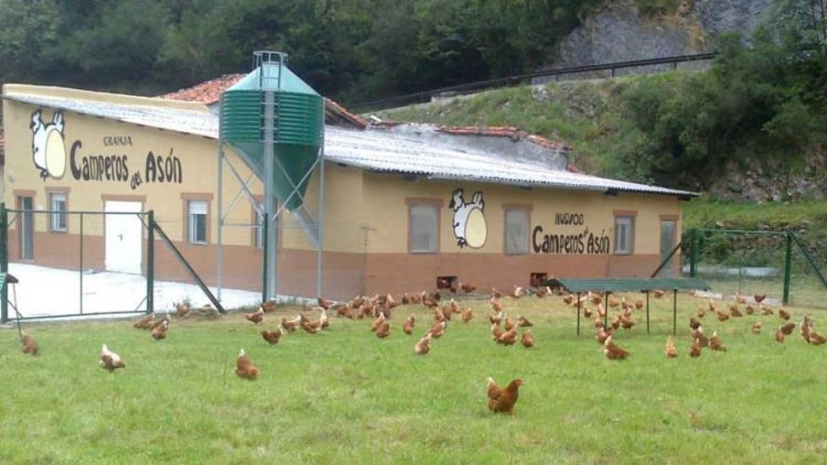 Pablo Fox, Camperos del Asón (17/11/2020)