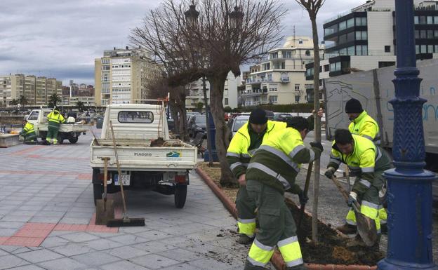 Servicio de Parques y Jardines