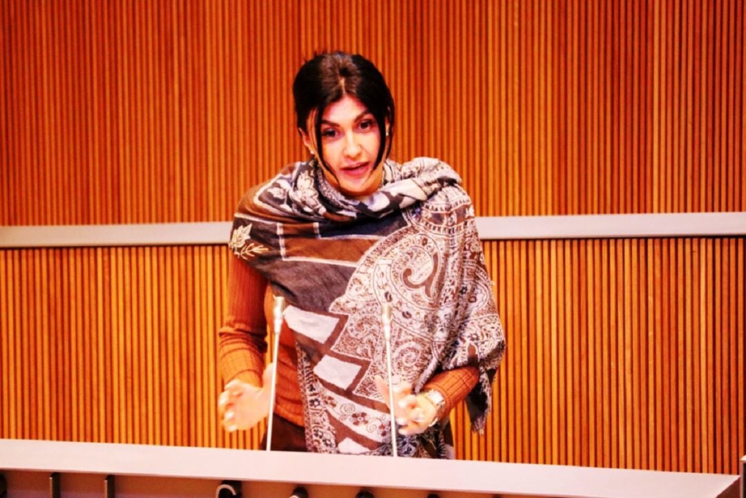 L'exconsellera general, Carine Montaner, en una intervenció al Consell General.