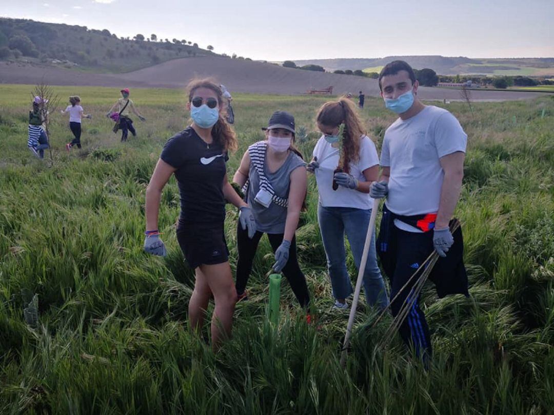 Varios jóvenes participan en la reforestación de la zona de La Colada del Roble, en Quintanilla de Onésimo.