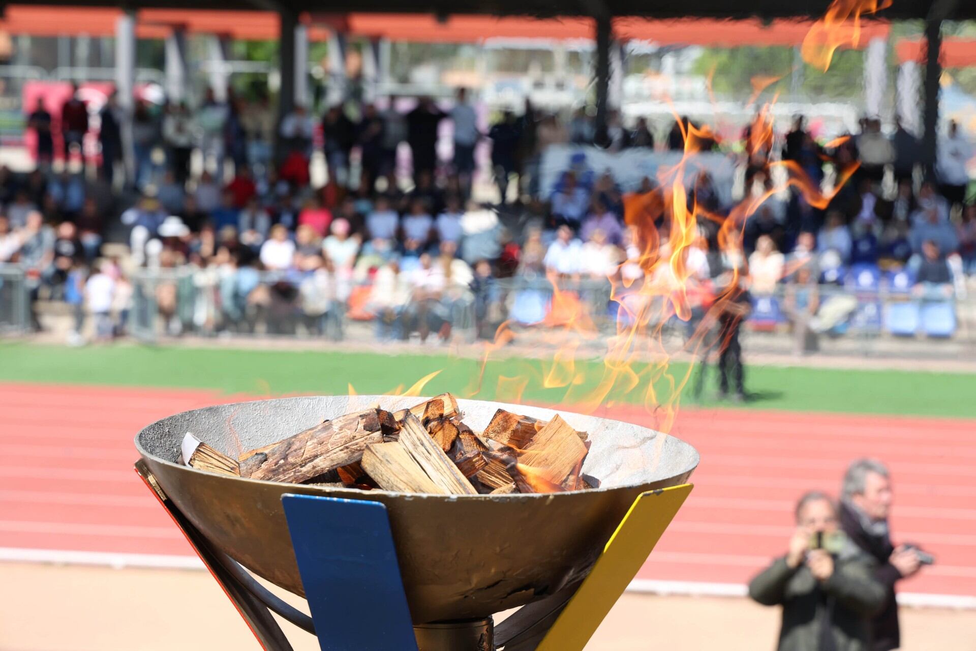 Olimpiadas Escolares de Alcobendas