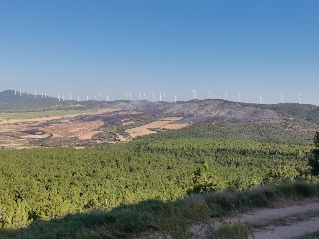 Imagen de la zona quemada en el incendio del monte Yerga ocurrido en el mes de julio.