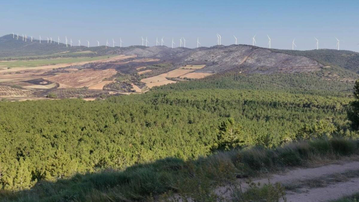 La Primera Llamada con el consejero de Sostenibilidad y Transición Ecológica, Álex Dorado (15/06/2022)