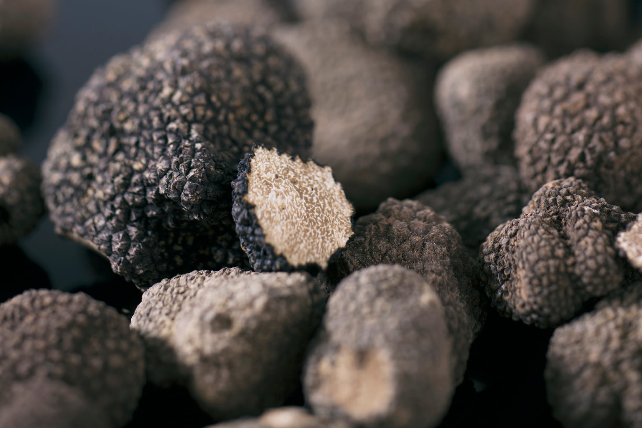 Germany/Studio/ still life/ truffles on a black table