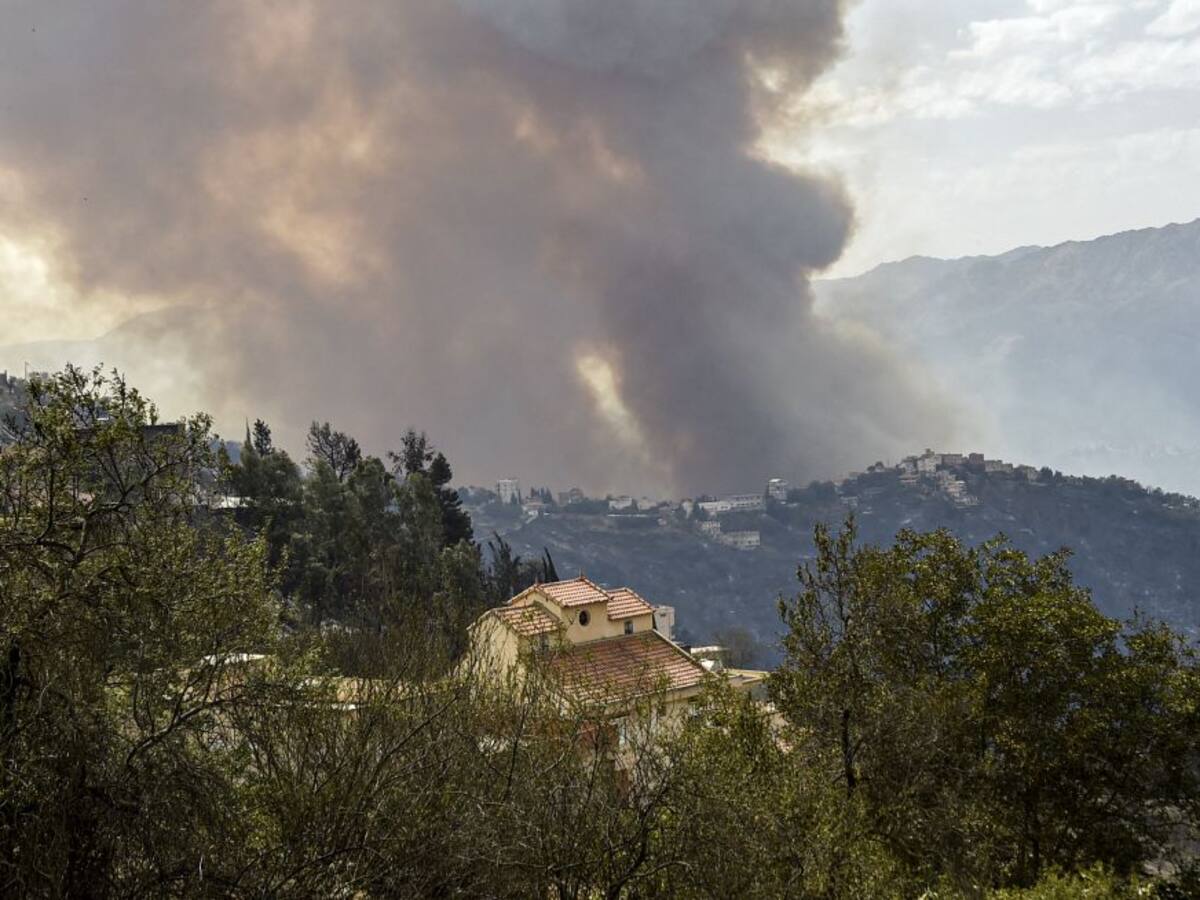 Los incendios del norte de Argelia dejan ya 65 muertos