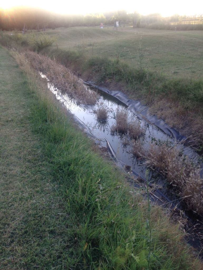 Ganemos Palencia denunció el mal estado de algunas partes del parque Ribera Sur