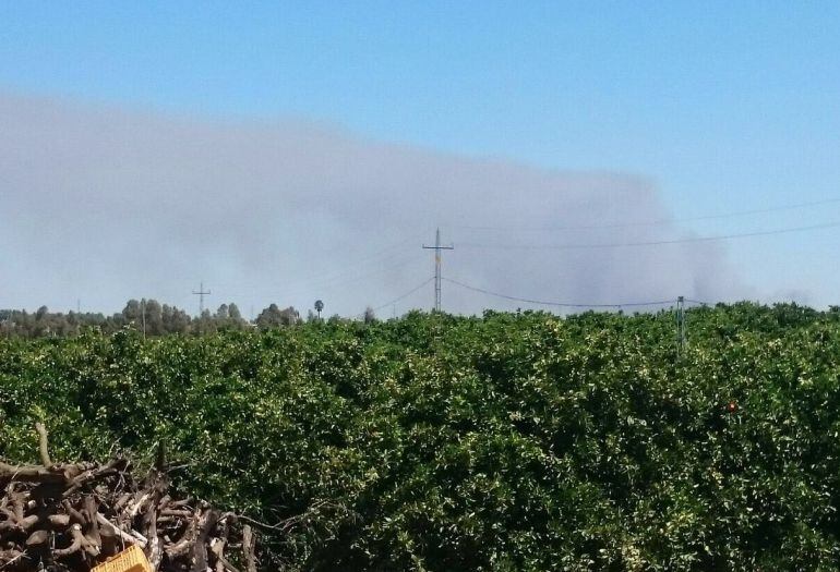 La columna de humo del incendio de Fuente de la Corcha, en Beas, se puede ver desde Gibraleón. 