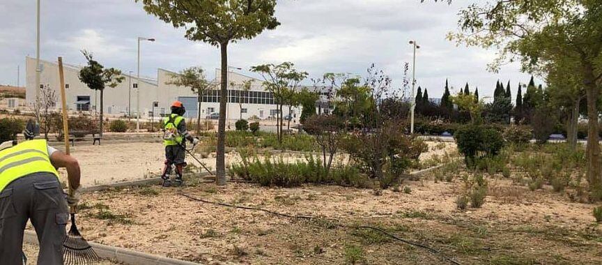 Trabajos de desbroce en Caudete