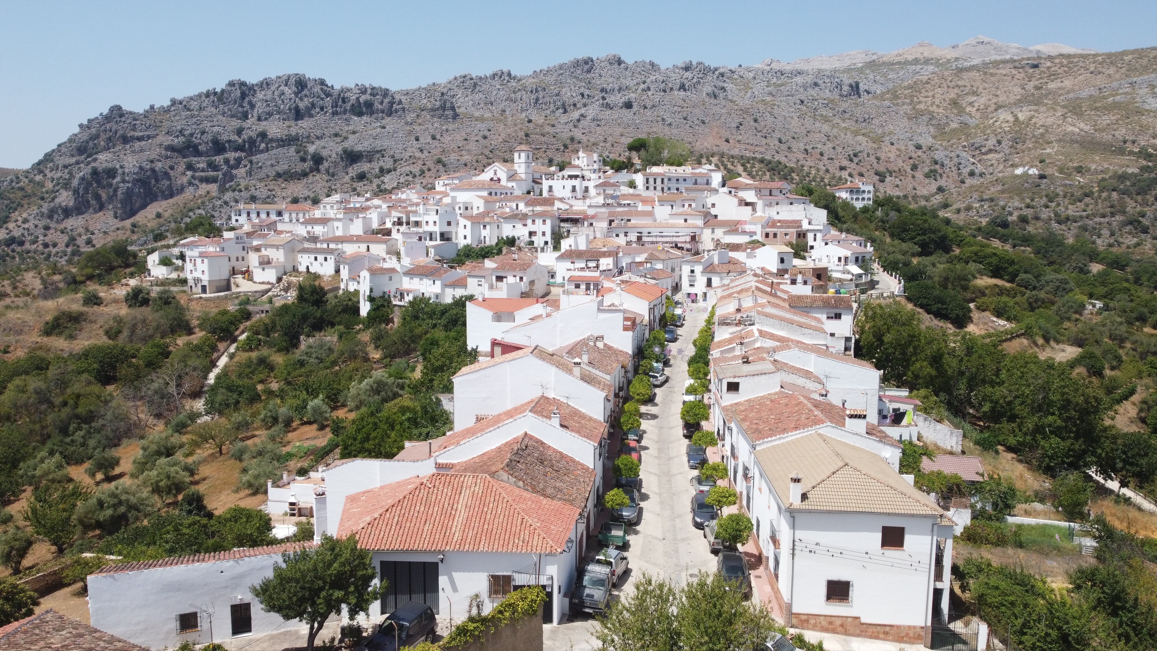 El municipio se enmarca en el interior de la Serranía de Ronda, en pleno Valle del Genal