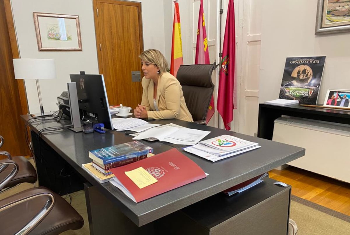 Reunión por videoconferencia entre la alcaldesa de Cartagena y el ministro de Migraciones