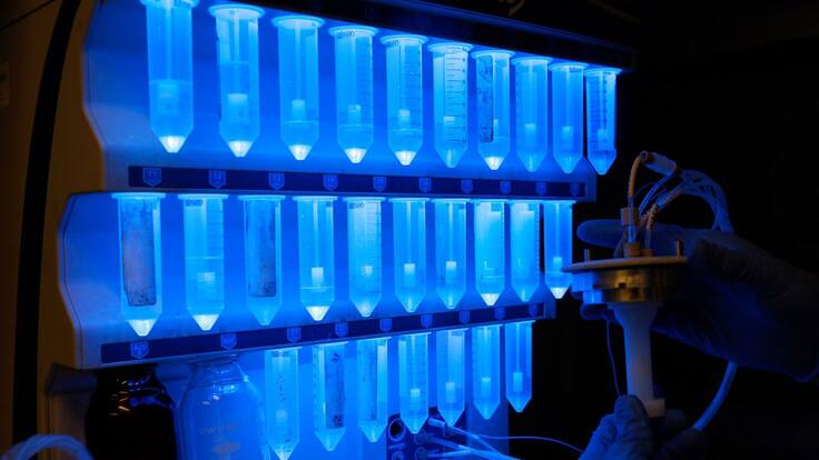 "El uso racional de antibióticos en la cabaña ganadera es un factor determinante para garantizar alimentos sanos"