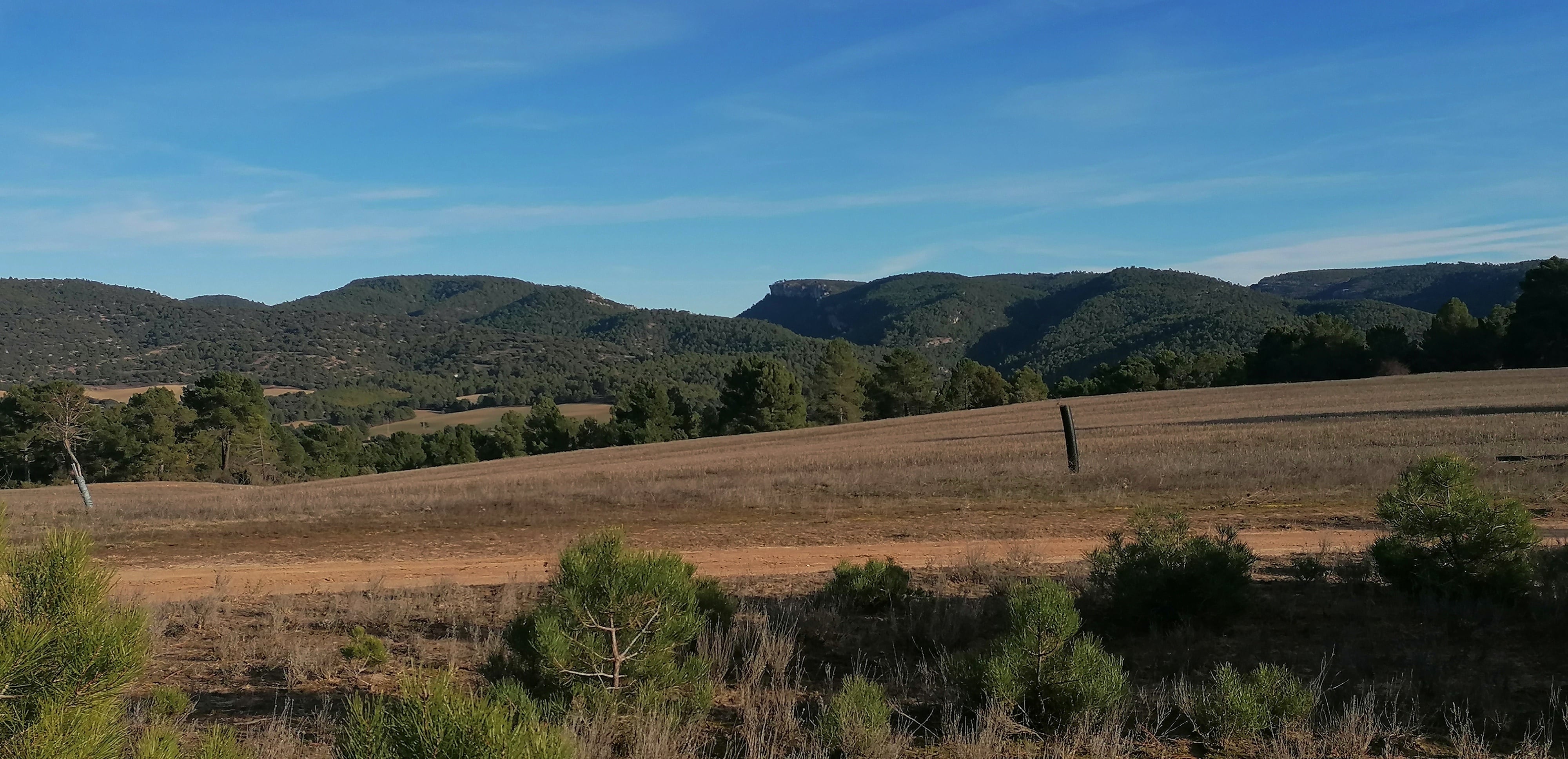 La ruta pasa por la cañada real.