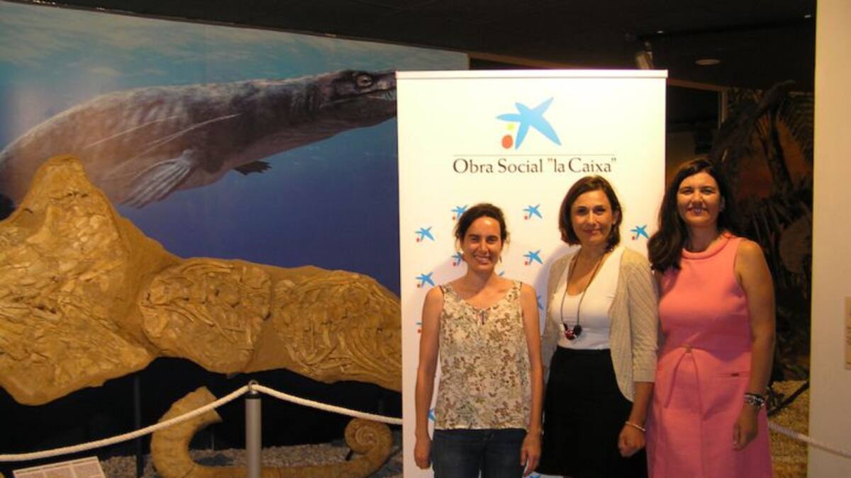 Programas gratuitos del MUPE