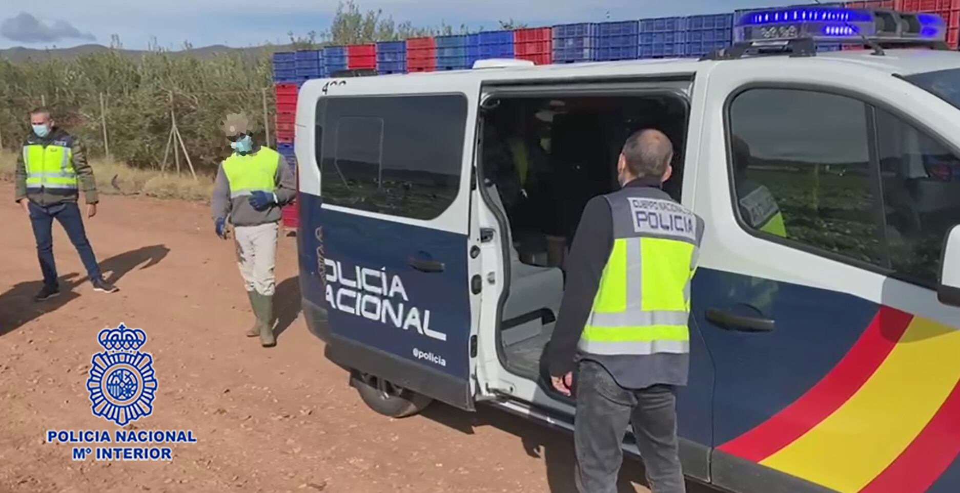 Quince trabajadores detenidos en Águilas por falsificar su documentación para trabajar en el campo