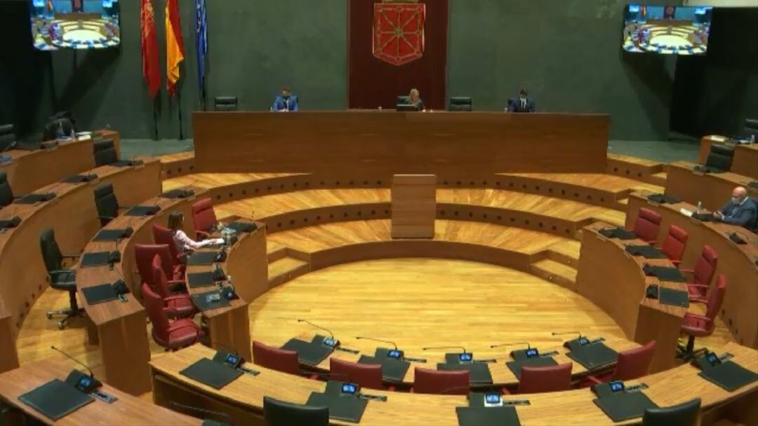 Comisión parlamentaria de Cohesión Territorial en la que participa el alcalde de Tudela, Alejandro Toquero