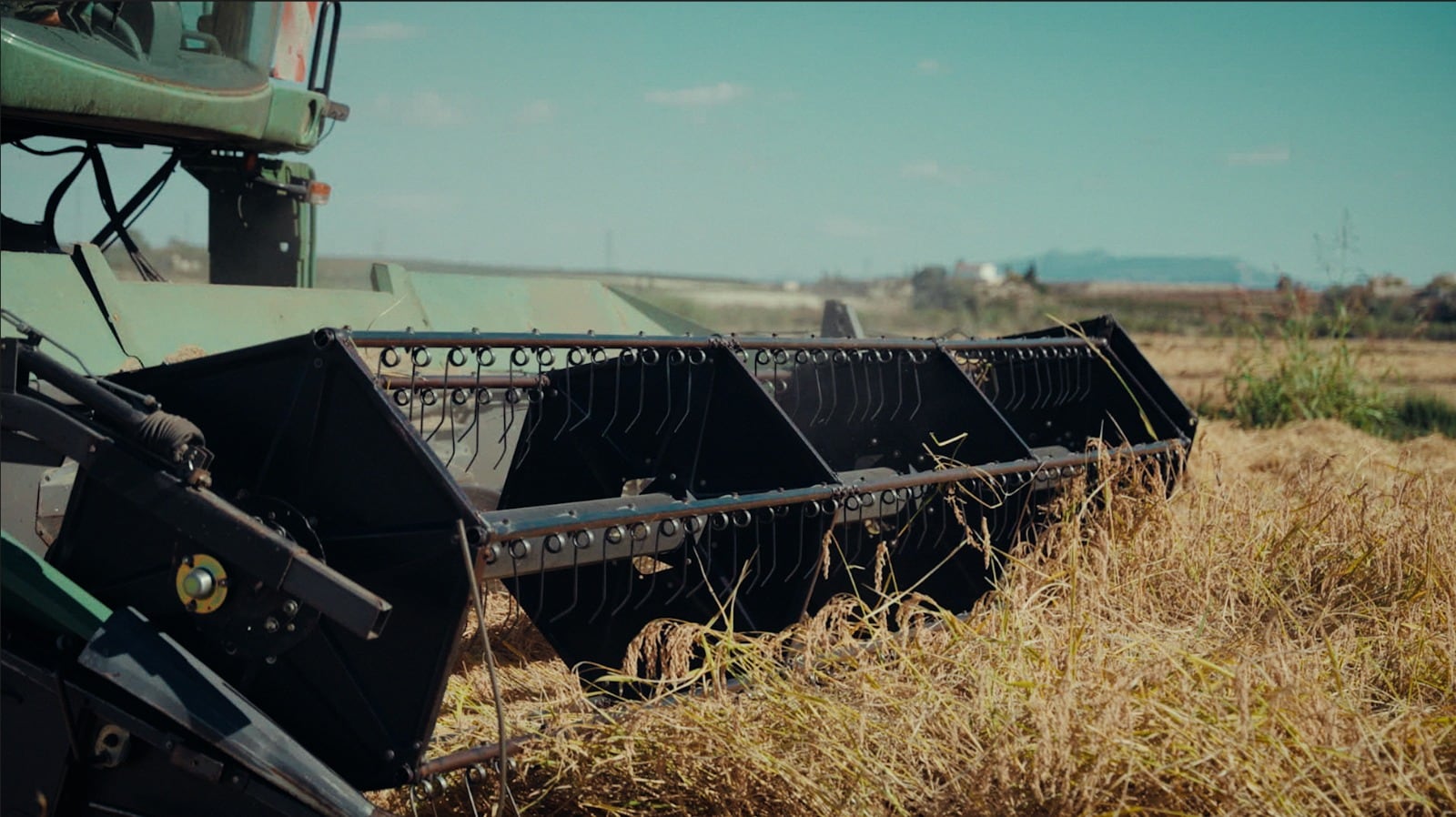 Siega en el coto arrocero de Calasparra