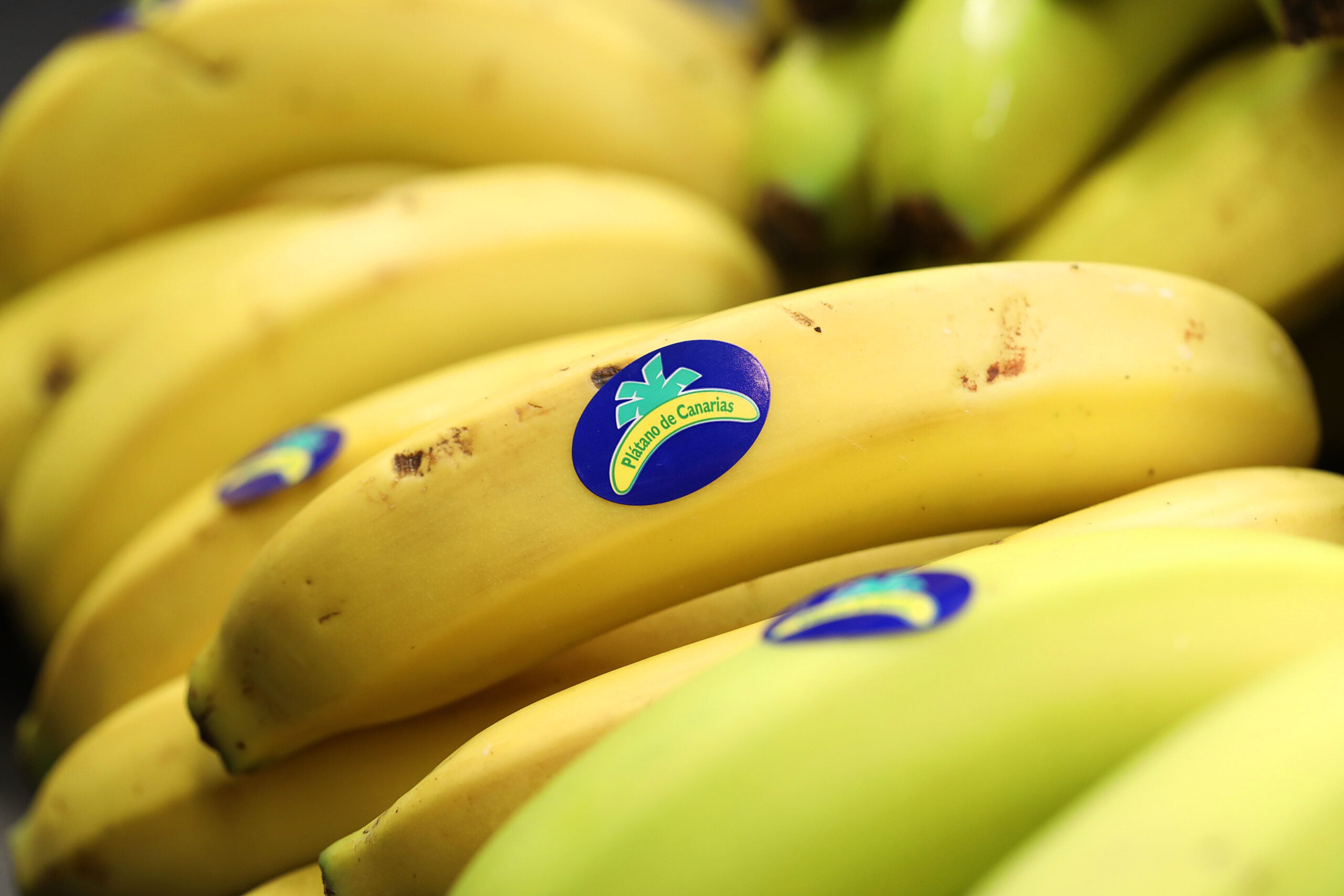 07.09.2018, Barcelona
Cocina Hermanos Torres con plátano de Canarias.

foto: Jordi Play