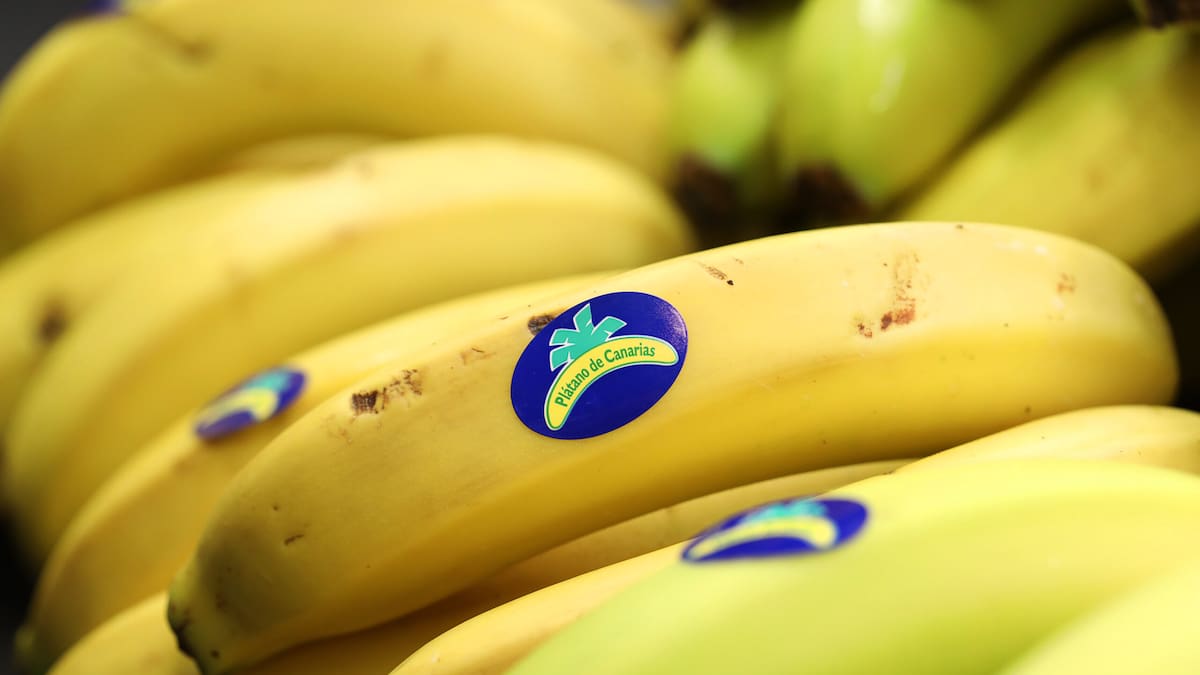 Más de 8.000 unidades serán repartidas para el evento mundial